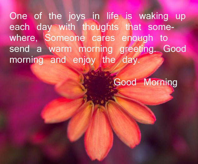 Good Morning quote Free download