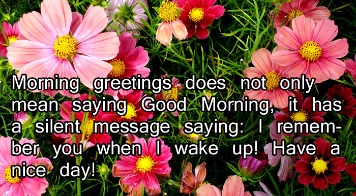 Good Morning quote HD wallpaper