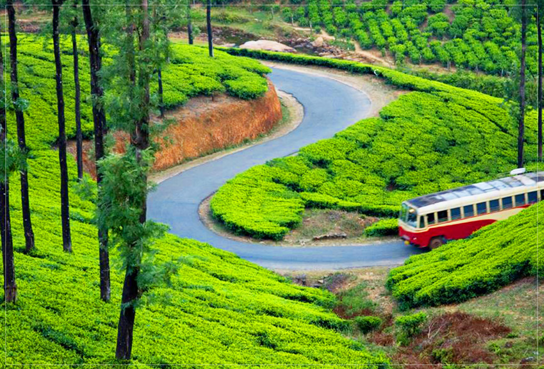 Tour in Munnar Images