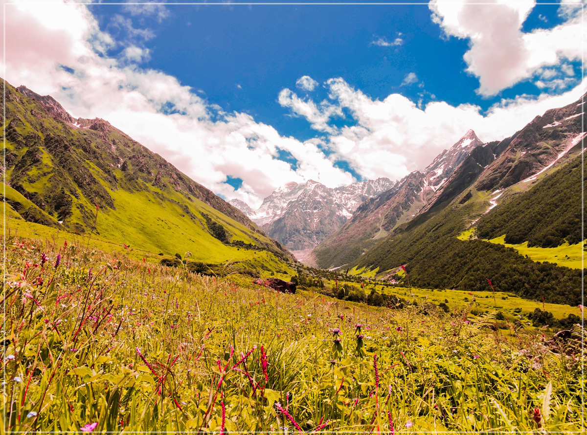Valley of Flowers Images Hd