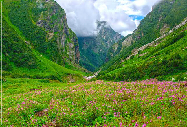 Valley of Flowers Images Photos